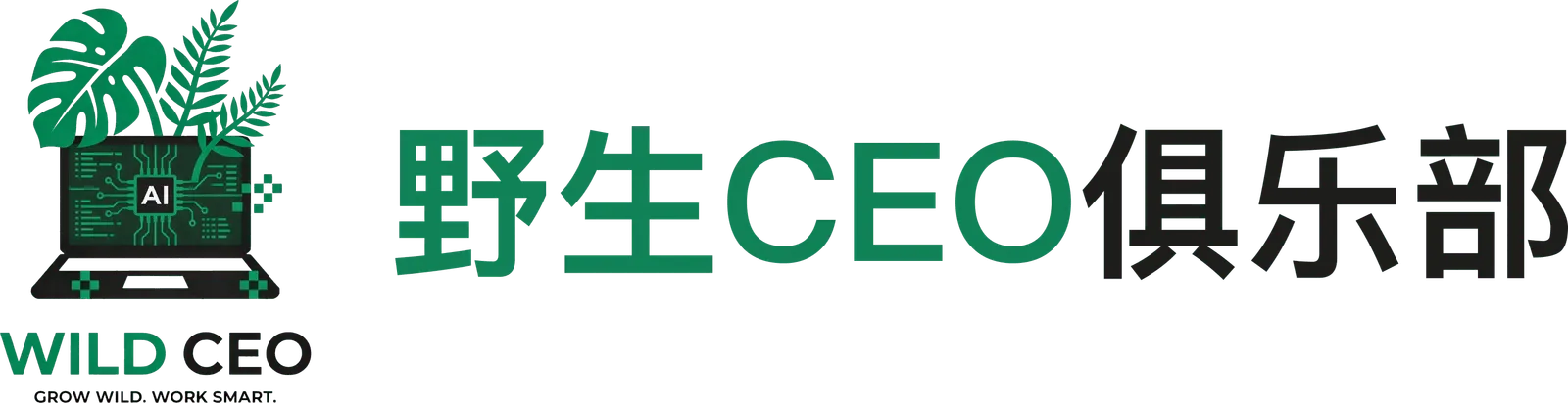 野生CEO俱乐部